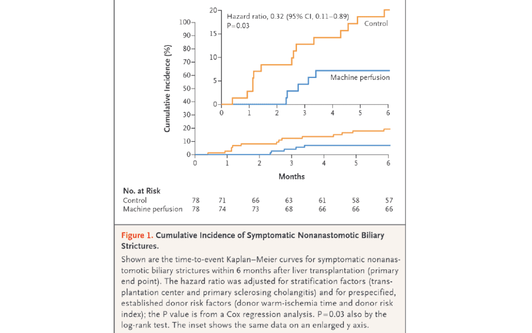 Hypothermic Machine Perfusion in Liver Transplantation — A Randomized Trial