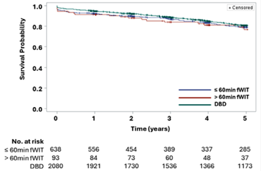 Impact of Warm Ischemia Time on DCD Kidney Transplant Outcomes